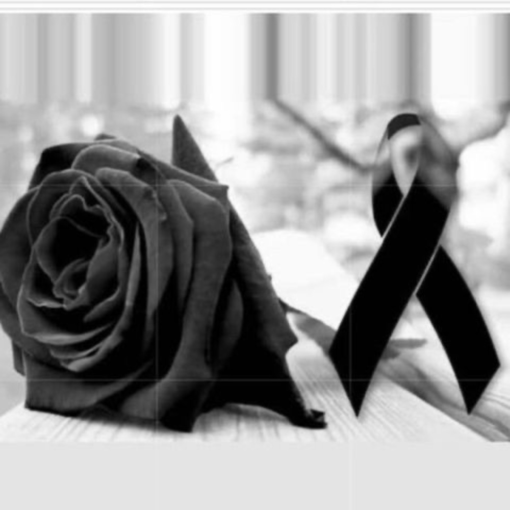 Meet your Posher, Reyna